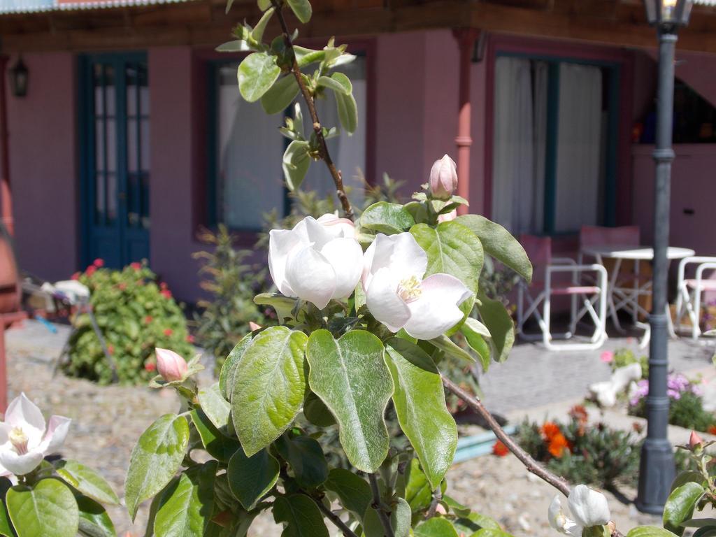 Posada Caracoles Puerto Pirámides エクステリア 写真