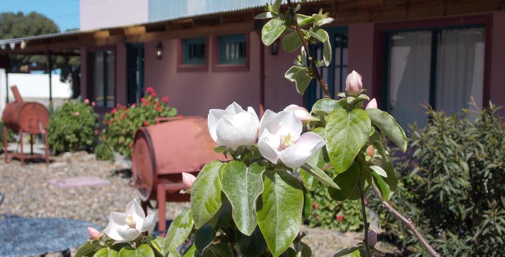 Posada Caracoles Puerto Pirámides 部屋 写真