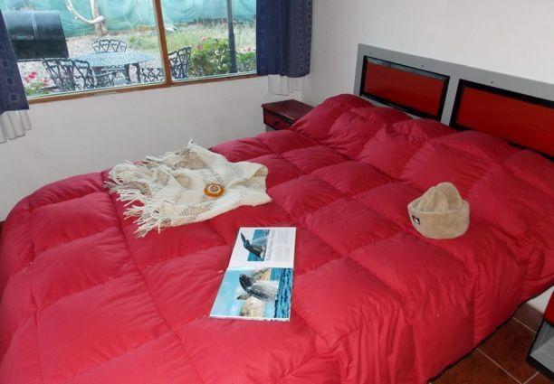 Posada Caracoles Puerto Pirámides 部屋 写真