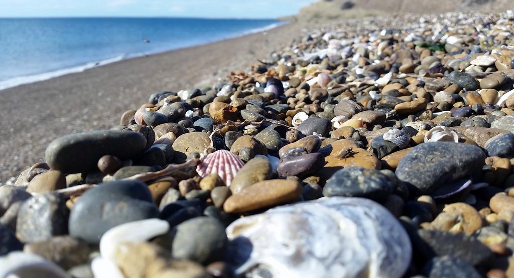 Posada Caracoles Puerto Pirámides エクステリア 写真